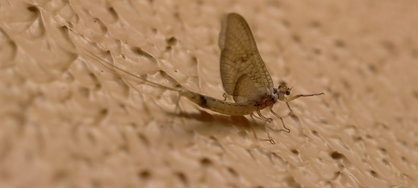 IMG_20240715_230641.jpg