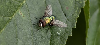 IMG_20240718_185853.jpg