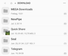 NewPipe Ordner in Download.jpg