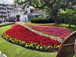 IMG_20240719_150908.jpg