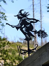 IMG_20240719_135601.jpg