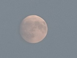 IMG20240719213229.jpg