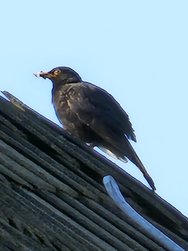 20240720_080540.jpg