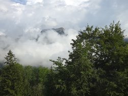 20240710_184445.jpg