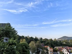 IMG_20240720_200931.jpg