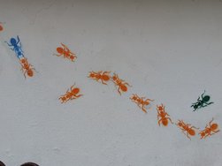 IMG_20240720_134642.jpg