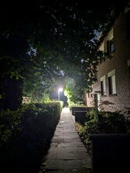 2PX8.jpg