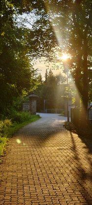IMG_20240720_201137.jpg