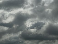 IMG_5088.jpeg