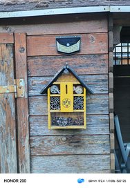 IMG_20240722_184506.jpg