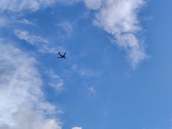IMG_20240723_192433.jpg