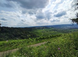 IMG_20240724_160717596_HDR.jpg
