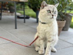 IMG_0587.jpeg