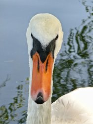 IMG_20240725_184032.jpg