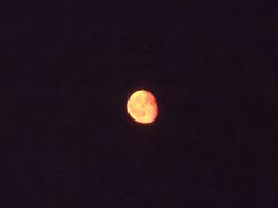 20240724_234035.jpg
