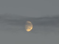 20240716_214346.jpg