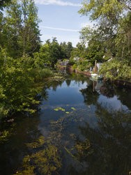 IMG_20240718_102449.jpg
