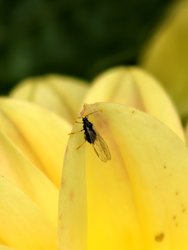 IMG_20240727_145240.jpg