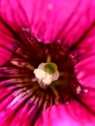 IMG_20240727_145146.jpg