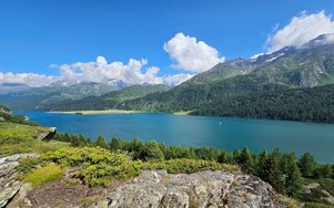 20240726_160333 (2).jpg