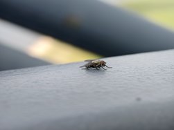 IMG_20240728_100712.jpg