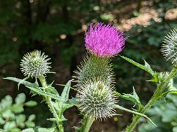 PXL_20240714_104121324.jpg