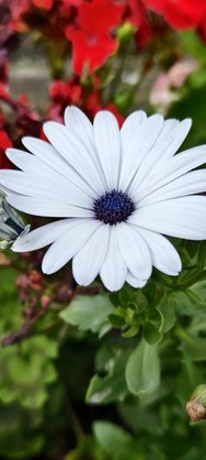 IMG_20240728_153514.jpg