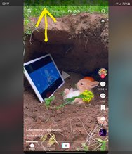 Screenshot_20240729_091755_TikTok.jpg Screenshot_20240729_091755_TikTok.jpg
