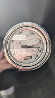 PXL_20240729_160642858.MP.jpg
