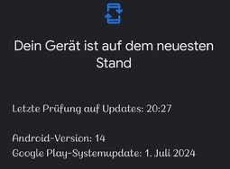 Screenshot_20240729_202823_Google Play Store.jpg