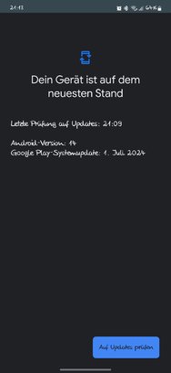 Screenshot_20240729_211329_Google Play Store.jpg