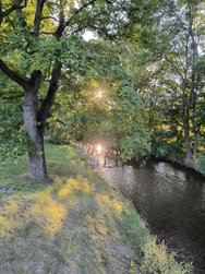 IMG_20240729_200742.jpg