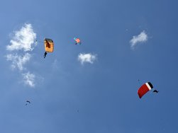 IMG_1276.jpeg