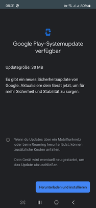 Screenshot_20240730_083121_Google Play Store.png