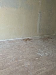 PXL_20240730_114505682.jpg