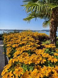 IMG_20240730_095734.jpg