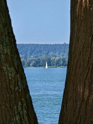IMG_20240730_165703.jpg