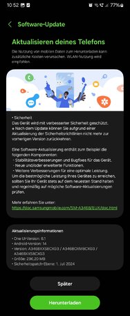 Screenshot_20240731_105159_Software update.jpg