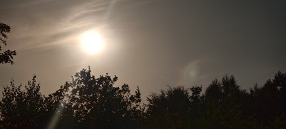 IMG_20240730_195156.jpg