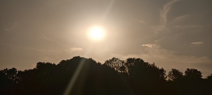 IMG_20240730_200429.jpg