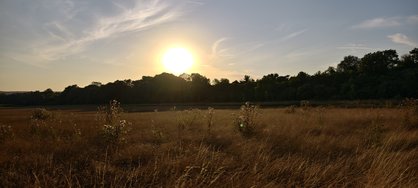 IMG_20240730_200446.jpg