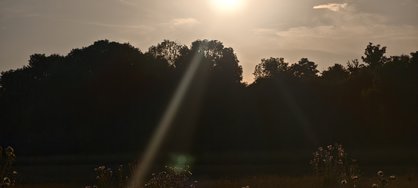 IMG_20240730_200609.jpg