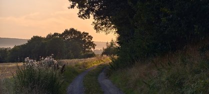 IMG_20240730_201147.jpg