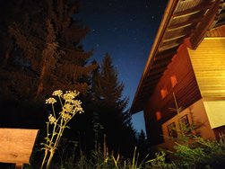 IMG_20240730_224338.jpg