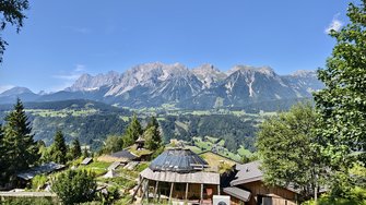 IMG_20240730_145510.jpg