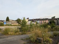 PXL_20240731_165724600.jpg