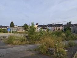 IMG_20240731_185713.jpg