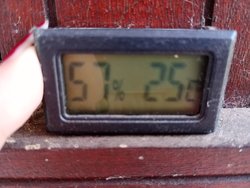 IMG_20240801_143703.jpg