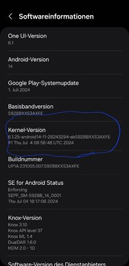 Screenshot_20240801_225810_Settings.jpg