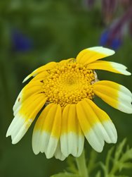 IMG_20240802_193548.jpg